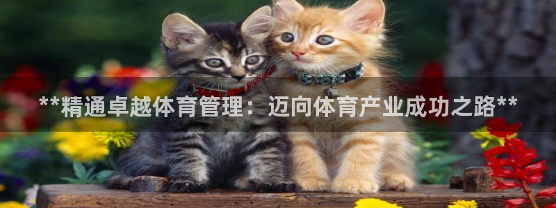 Bsport体育必一：**精通卓越体育管理：迈向体育产业成功