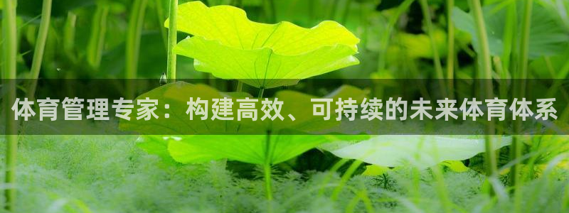 必一体育sport装