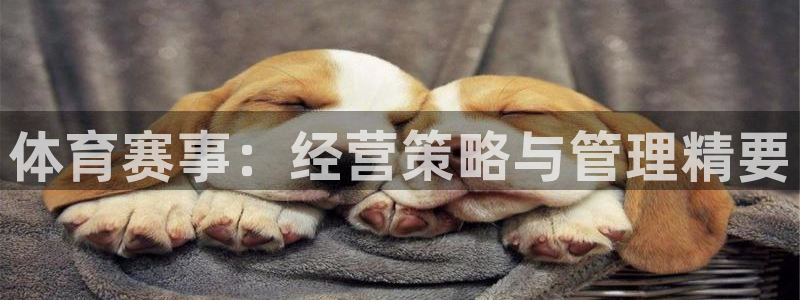 必一体育登入：体育赛