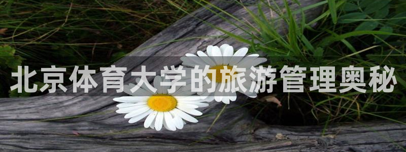 必一体育能提现大金额