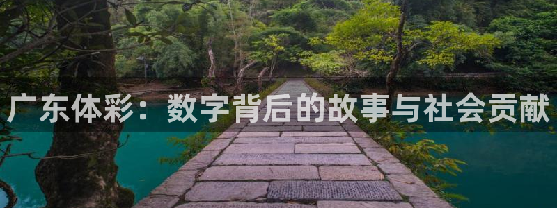 必一体育sport装