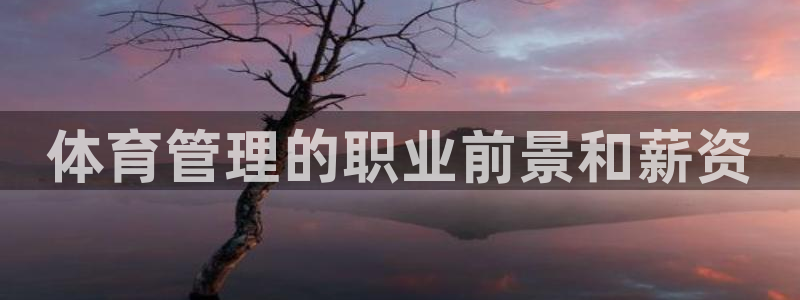 必一运动 b 体育素
