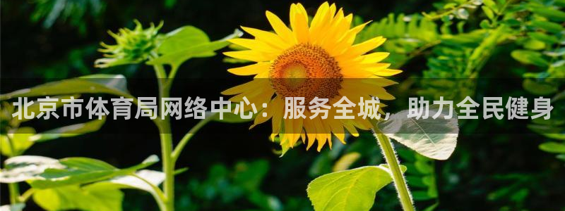 必一体育秀给网：北京市体育局网络中心：服务全城，助力全民健身