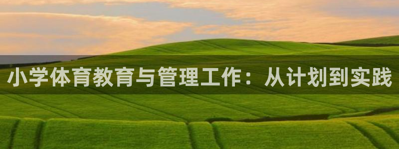 必一体育网址：小学体