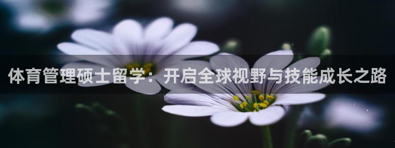 必一体育手机下载：体