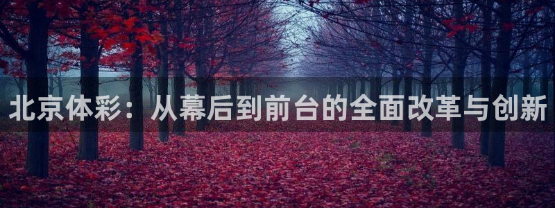 必一体育网址：北京体