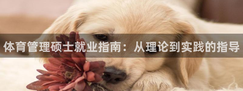 必一运动验证码：体育