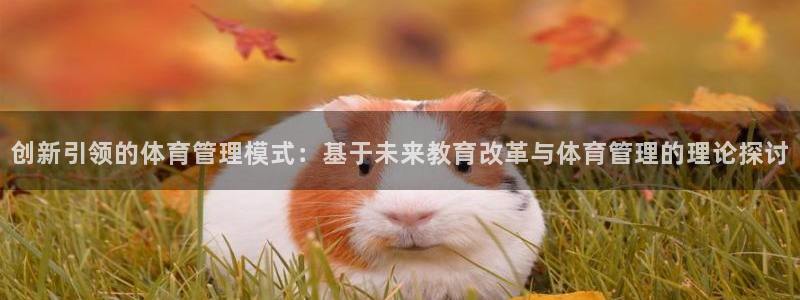 必一体育app下载安