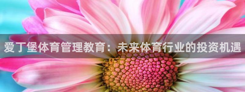 必一体育游戏玩法：爱