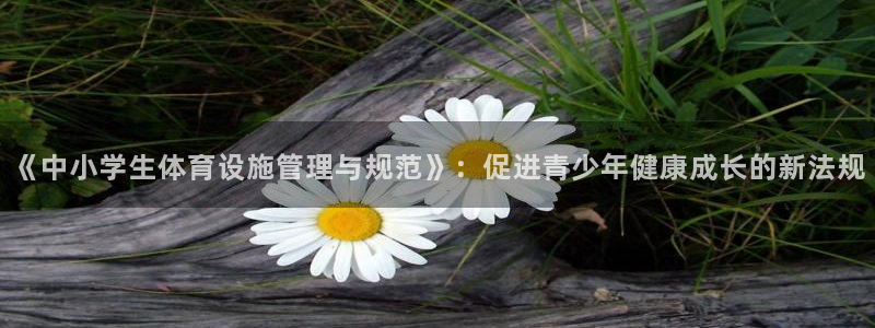 必一体育登入：《中小
