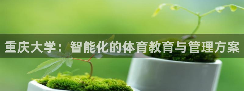 必一体育sport官