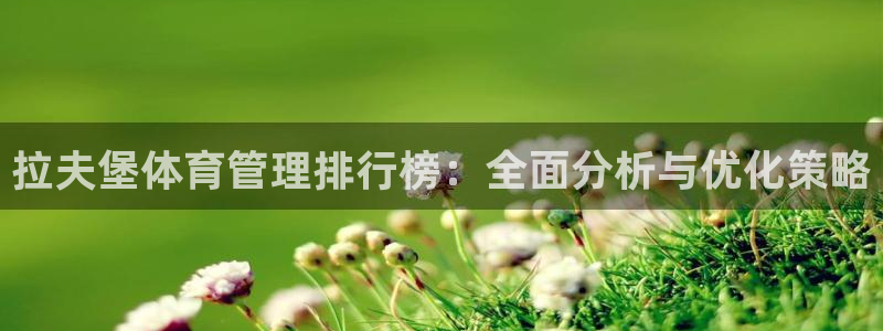 必一体育在哪下：拉夫