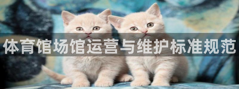 必一体育怎么下载：体育馆场馆运营与维护标准规范