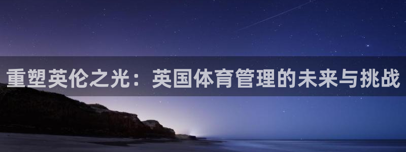 必一体育手机下载：重