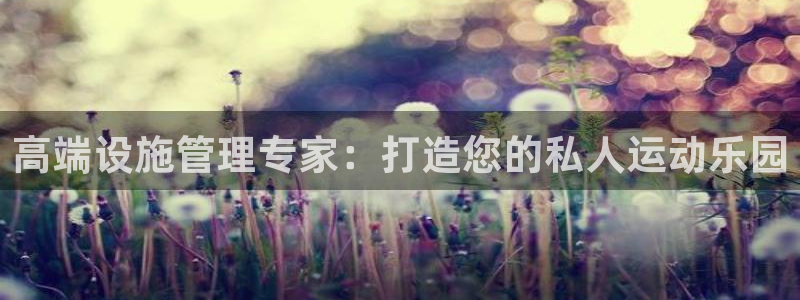 必一体育app平台下