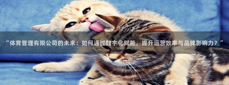 必一体育下载登入：“