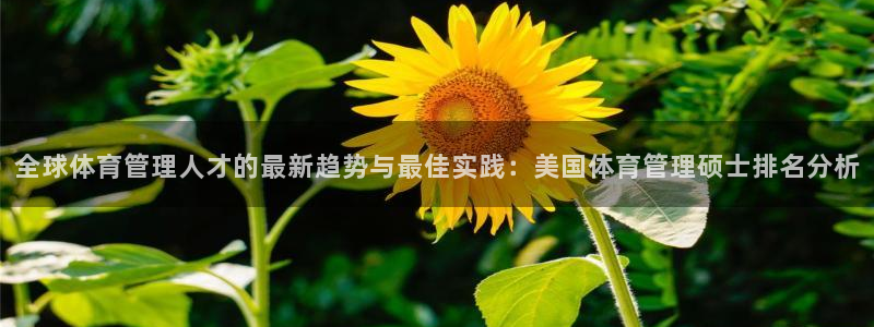 必一运动体育官网下载